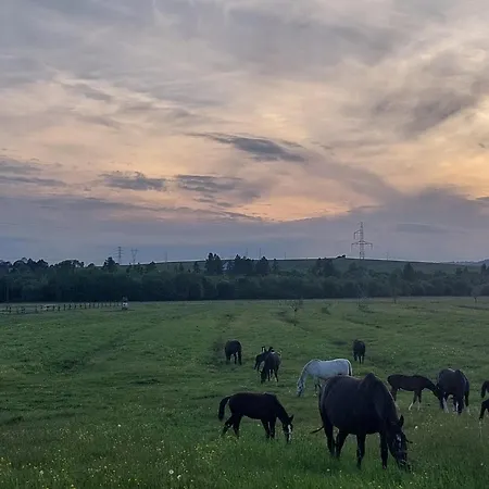 Podhalove House Kolo Nowego Targu